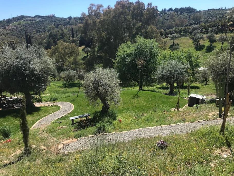Penthouse Apartment, Cortijo Fruitful Hills Малага Экстерьер фото