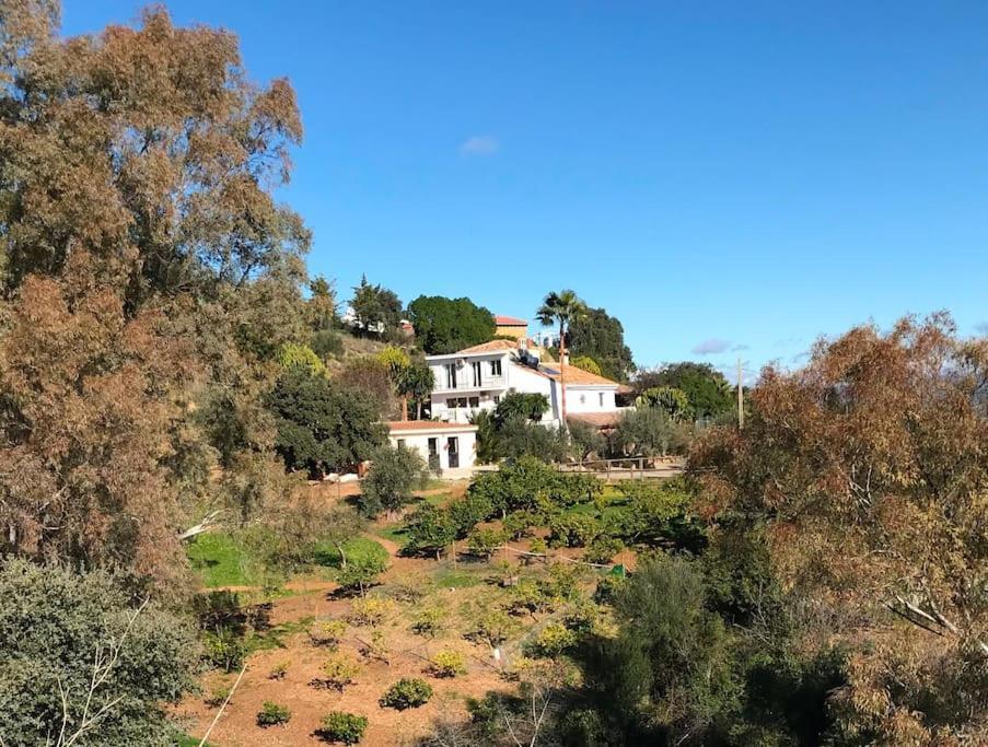 Penthouse Apartment, Cortijo Fruitful Hills Малага Экстерьер фото